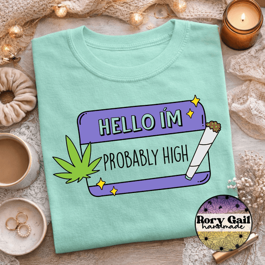 Rory Gail Handmade Hello I'm Probably High Tee